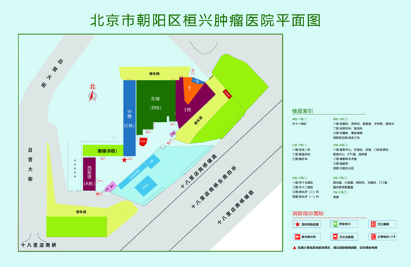 免费看操逼网页北京市朝阳区桓兴肿瘤医院平面图